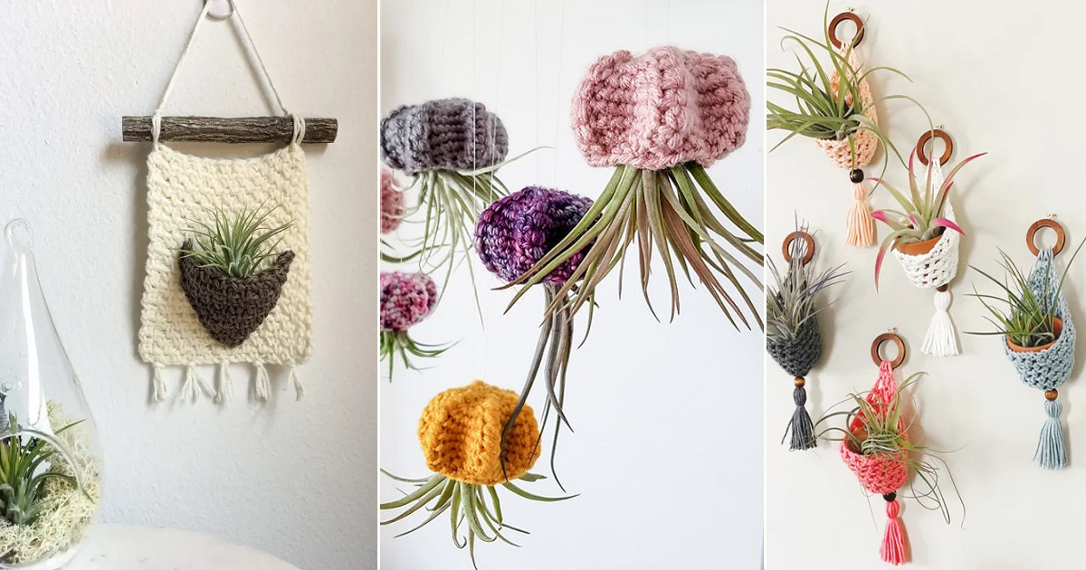 Crochet Air Plant Holder Ideas Air Plants 
